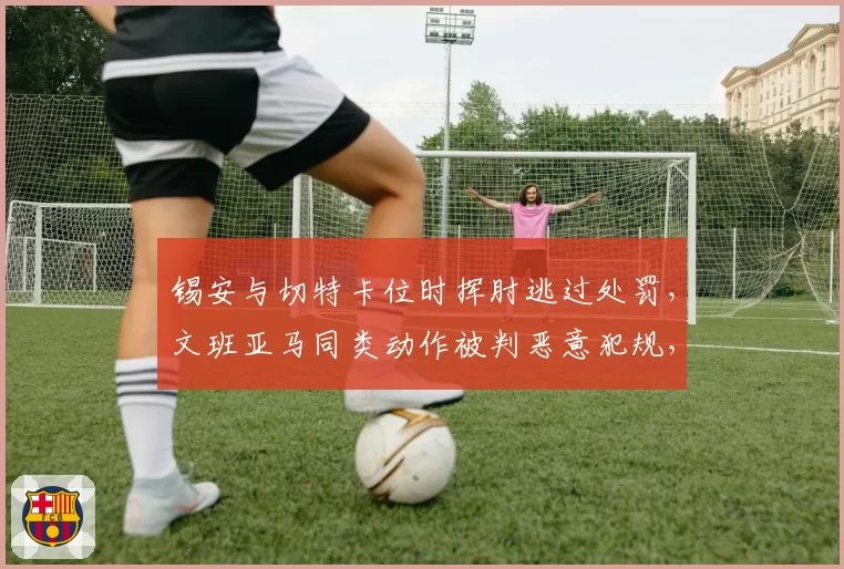 锡安与切特卡位时挥肘逃过处罚，文班亚马同类动作被判恶意犯规，新秀待遇差异大